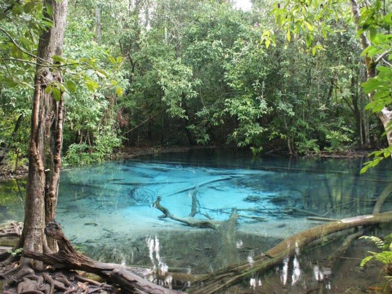 Snorkel en Laguna azul