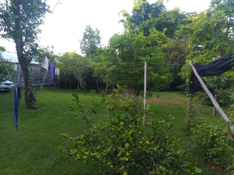 Venta de terreno en Roca Partida para propósito Turístico / Comercial