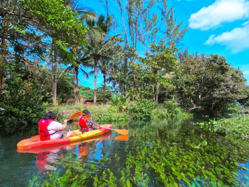 Kayak en el río de Toro Prieto