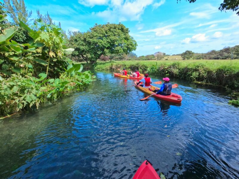 Kayak en el río de Toro Prieto