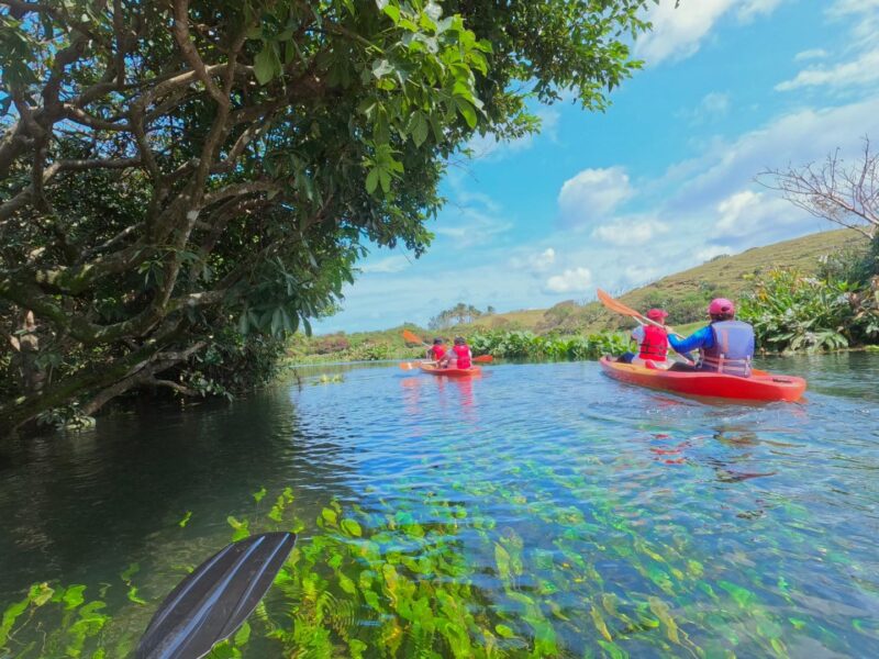 Kayak en el río de Toro Prieto