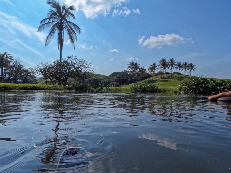 Llanting en el río de Toro Prieto