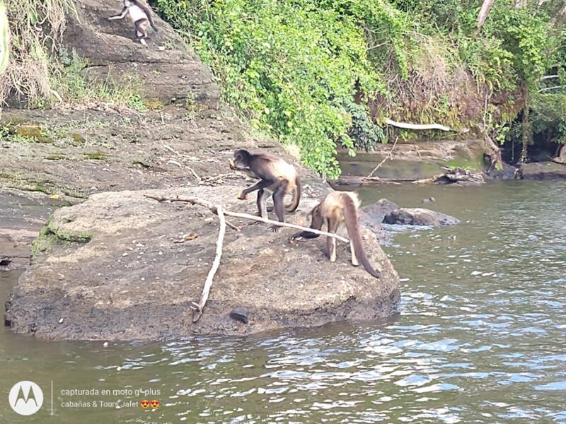 Paseo en lancha en la laguna de Catemaco