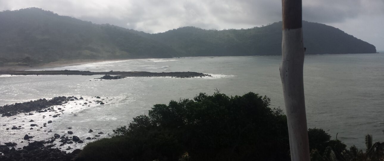 Balzapote Veracruz