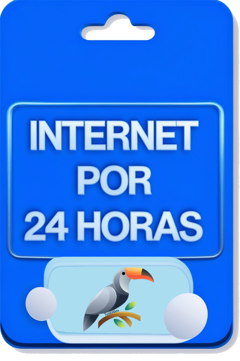 Ficha de 24 Horas